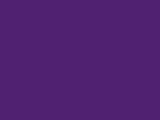Dark Purple Color Chip